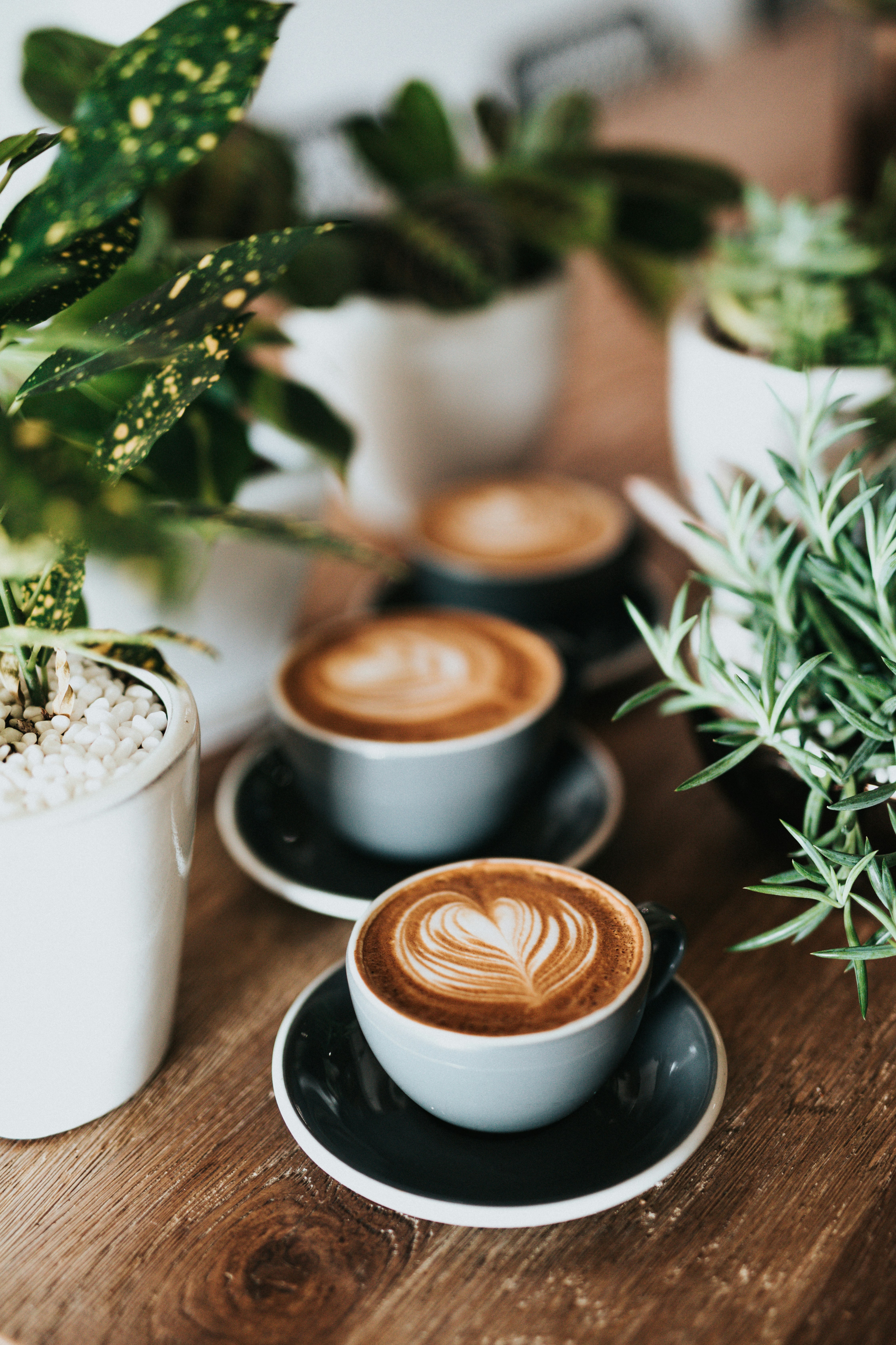Specialty Coffee